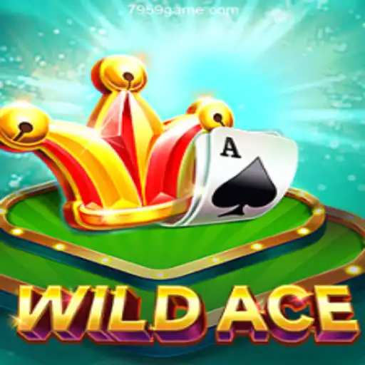 Exploring WildAce: An Immersive Casino Gaming Experience